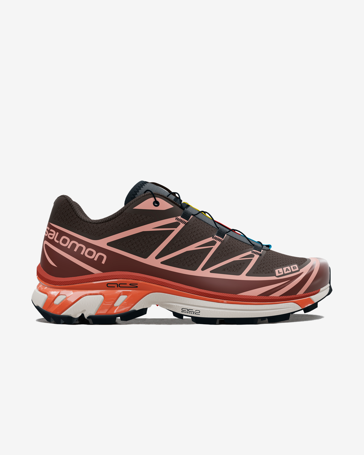 Salomon XT-6