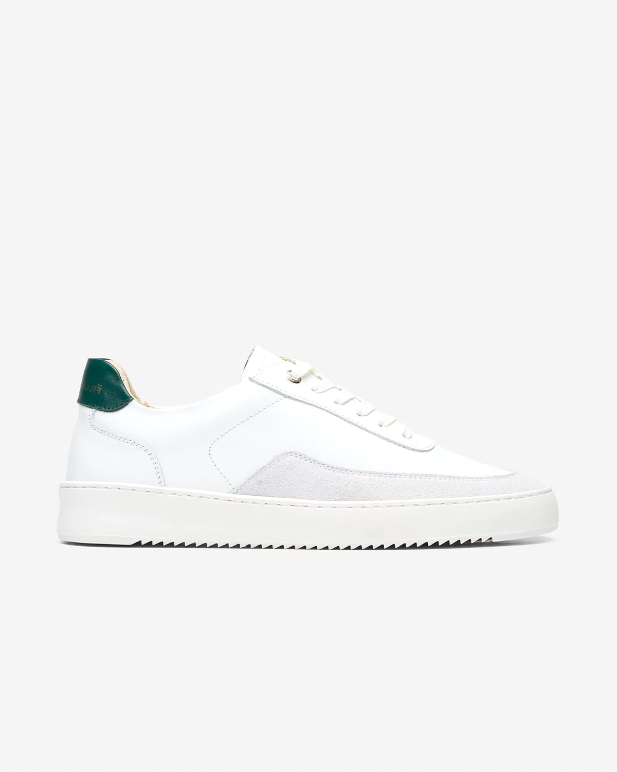 Filling Pieces Mondo Squash